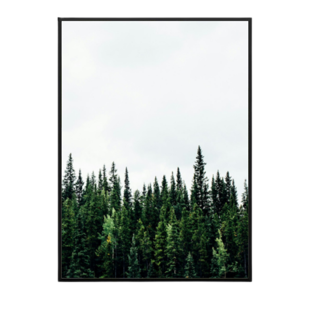 Quadro Natureza 18