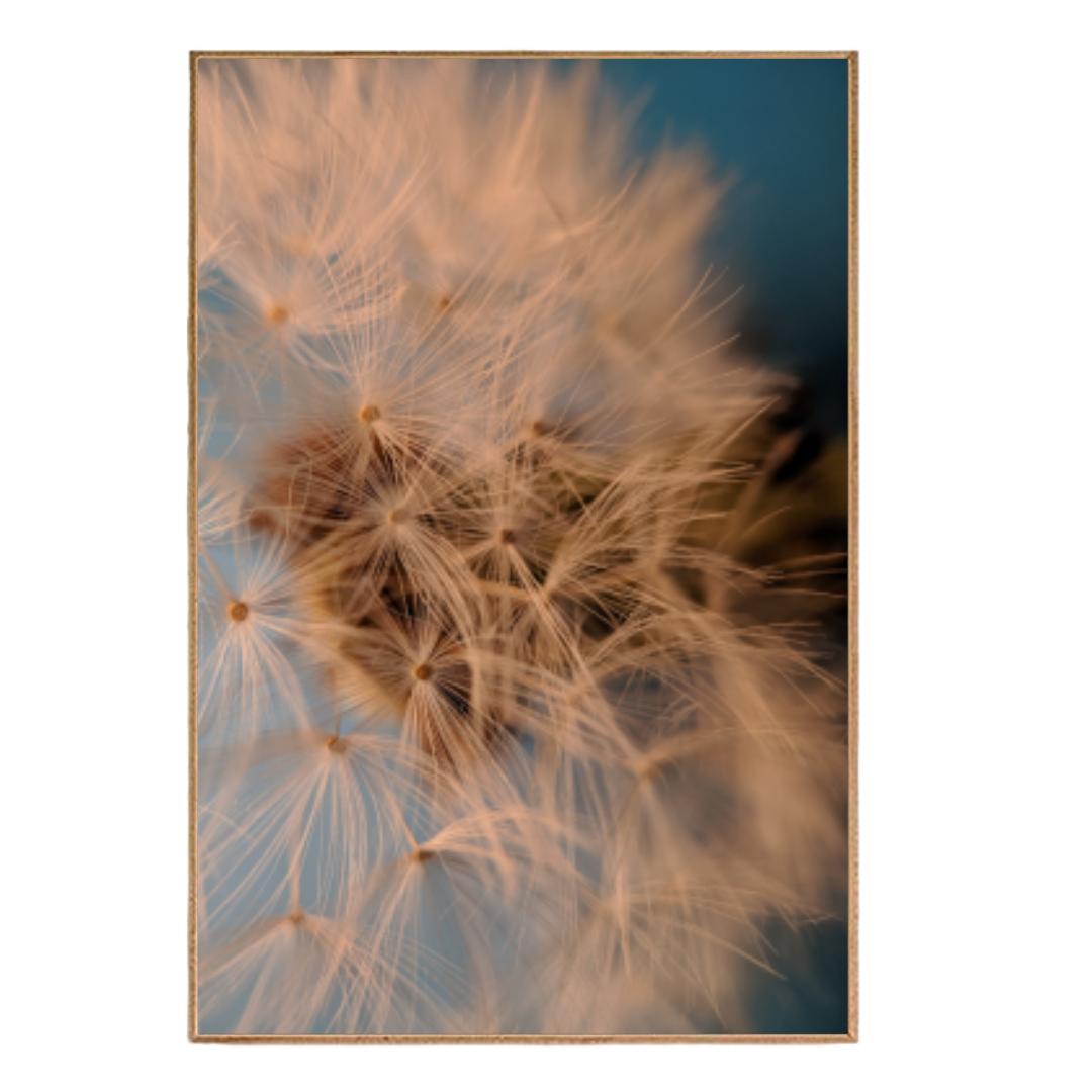 Quadro Flores e Folhas U93