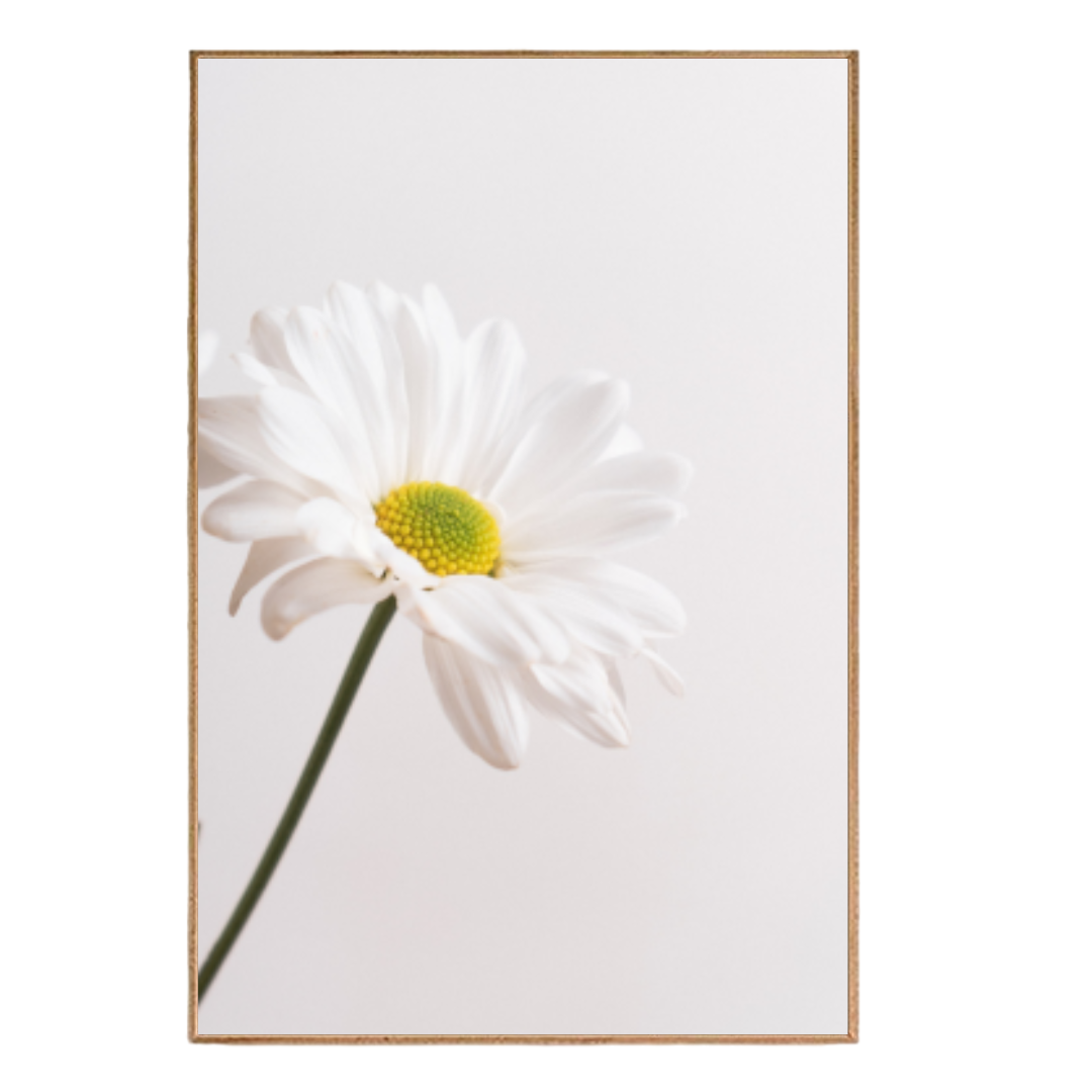 Quadro Flores e Folhas 44