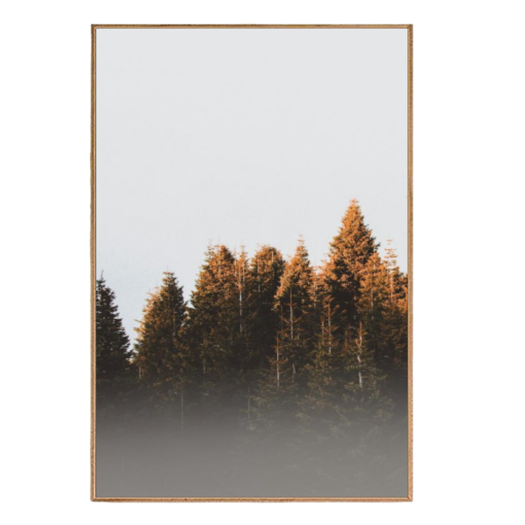 Quadro Natureza 47