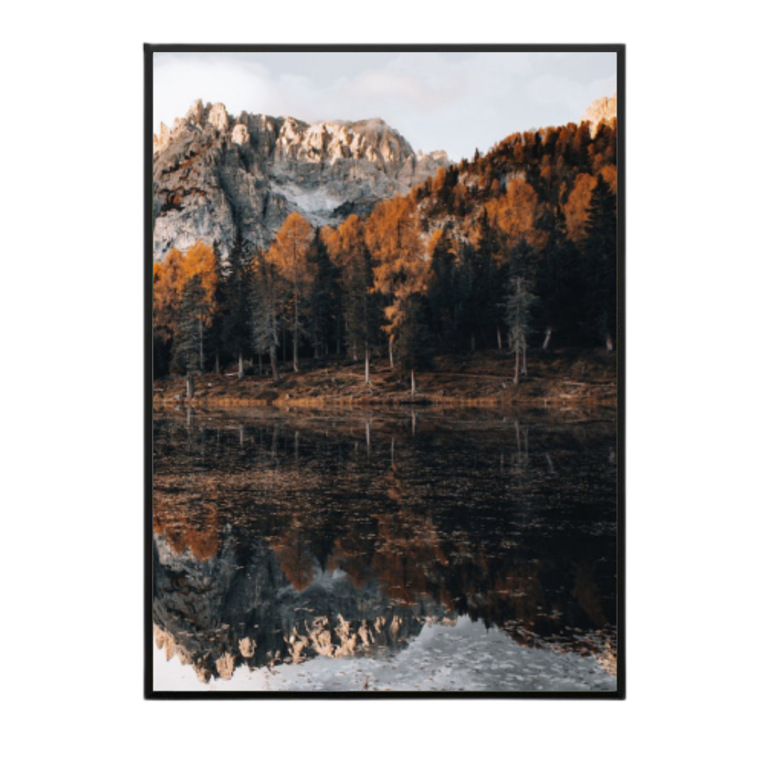 Quadro Natureza 62