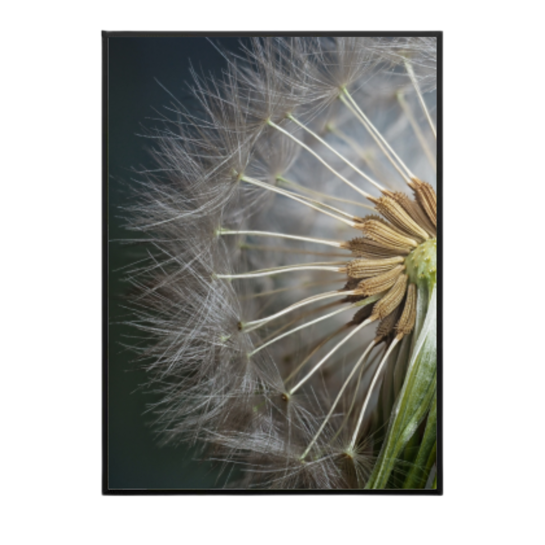 Quadro Flores e Folhas U145